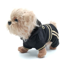 Load image into Gallery viewer, Dog tracksuit in black with gold detail