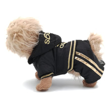 Load image into Gallery viewer, Black and gold adidog dog tracksuit
