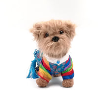 Load image into Gallery viewer, Oriental dog jumper outfit