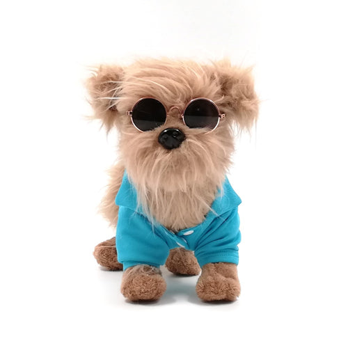 Blue preppy dog golf shirt and dog sunglasses