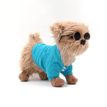 Load image into Gallery viewer, Cute Blue preppy dog golf shirt and dog fashion sunglasses