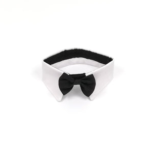 Dog black and white bowtie