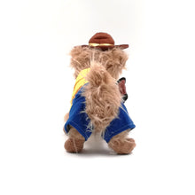 Load image into Gallery viewer, Dog pet halloween outfit cowboy style