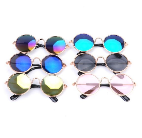 Dog sunglasses in various fun fashionable colours