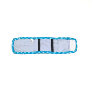 Blue boy dog manner belt 