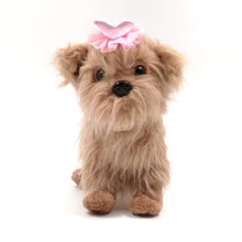 Load image into Gallery viewer, Yorkie with fashionable dog hair accessory