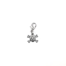 Load image into Gallery viewer, Silver and clear skull charm accessory for dog collar