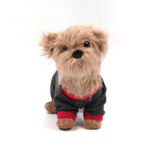 Load image into Gallery viewer, Dog Superhero Onesie in grey and red